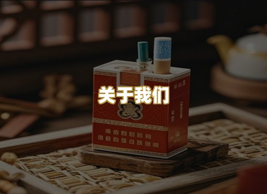 关于我们